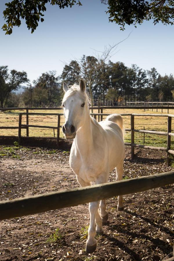 Aasvoelkrans Guest Farm Bed & Breakfast มอนตากู ภายนอก รูปภาพ