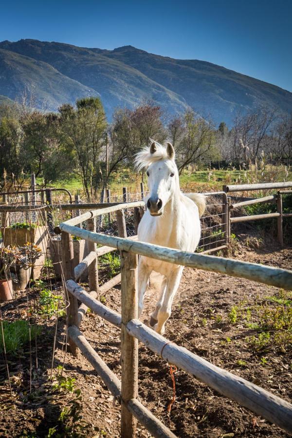 Aasvoelkrans Guest Farm Bed & Breakfast มอนตากู ภายนอก รูปภาพ